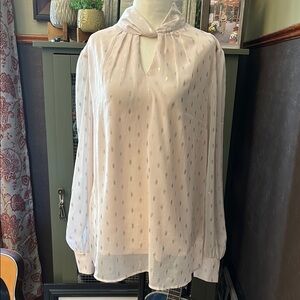 Blousology Ivory/Blusy Relaxed Long Sleeve Blouse with sheer sleeves size XL